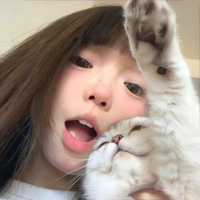 与鲨鱼游弋